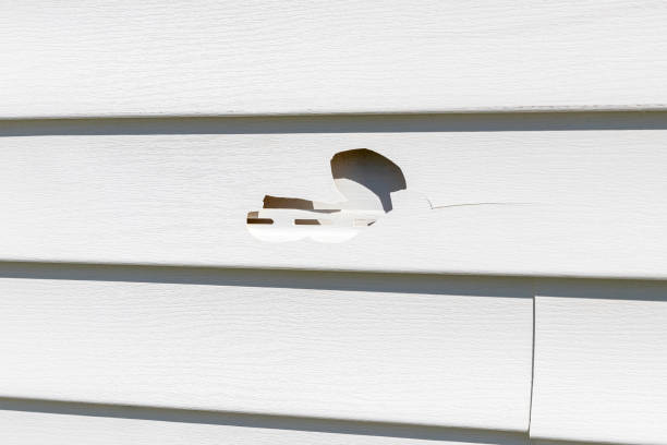 Best Siding Removal and Disposal  in Melrose Park, IL